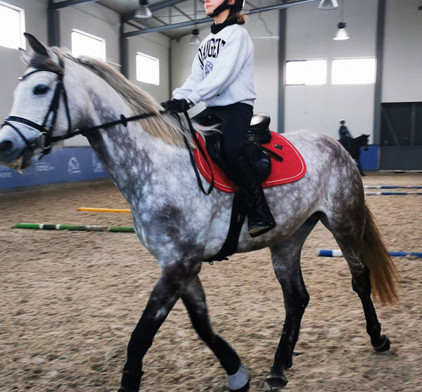 Obozy zimowe / letnie